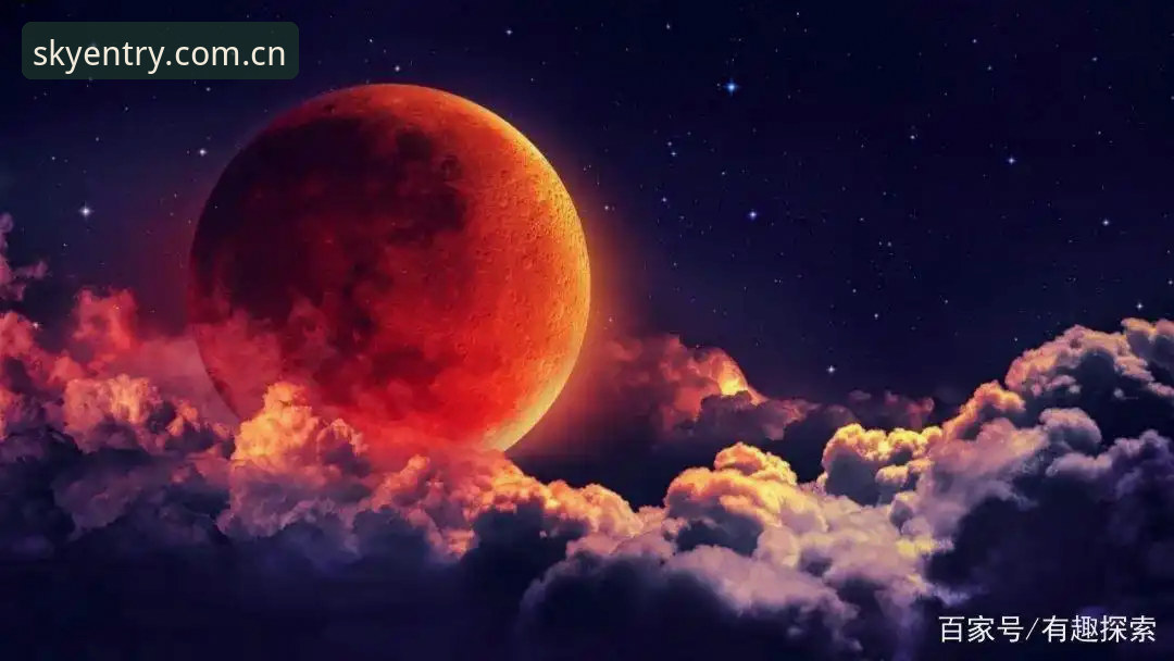 星空入口中国2026新版对比旧版：一次“被迫”升级，值吗？